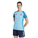 Camisa Feminina Flamengo Treino 2025
