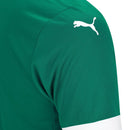 Camisa Masculina Palmeiras I 2025/26