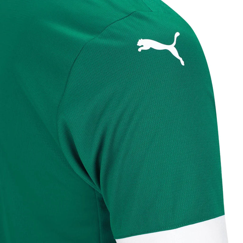Camisa Masculina Palmeiras I 2025/26